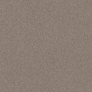 Pashmina