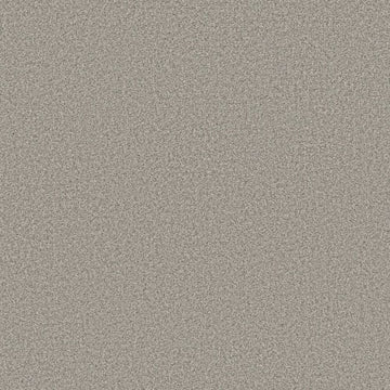 Moth Gray