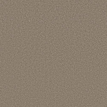 Chic Taupe