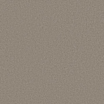 Pashmina