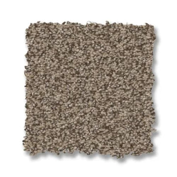 Chic Taupe