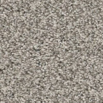Moth Gray