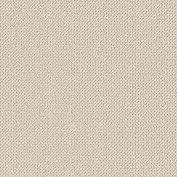 Parchment