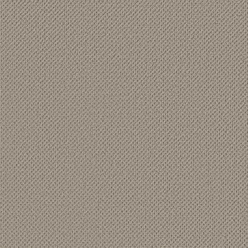 Lady In Gray