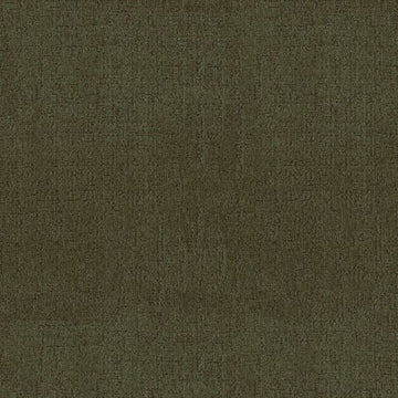 Olive Tree