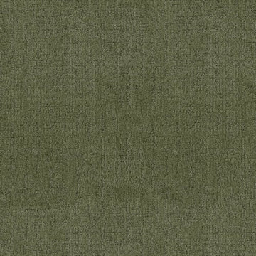 Fern