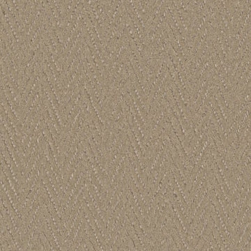 Alpaca