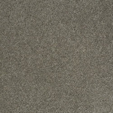 Pewter