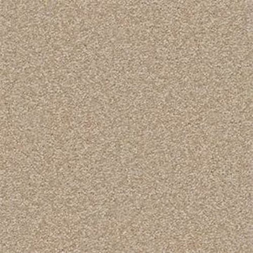 Sahara
