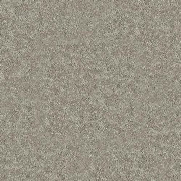 Taupe Mist