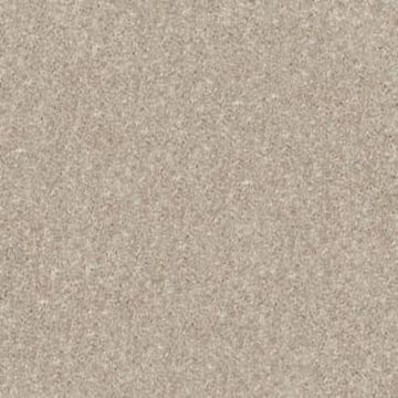 Plaster