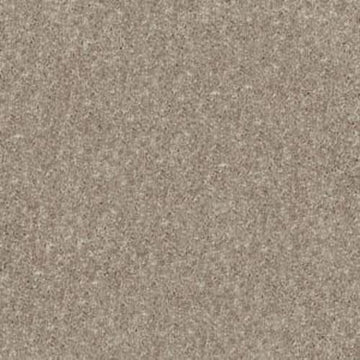 Taupe Mist