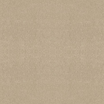 Eggshell