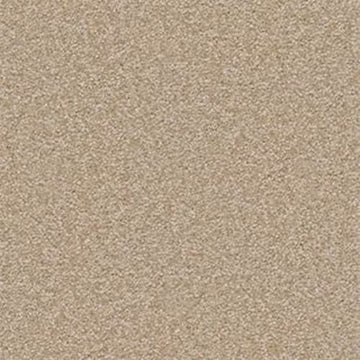 Sahara