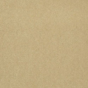 Corn Silk