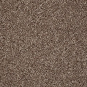 Antique Leather