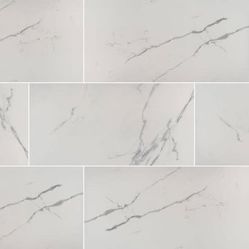 Statuary 12x24 Matte