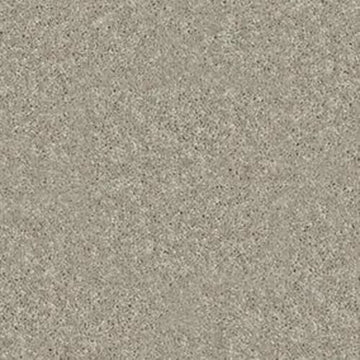Plaster