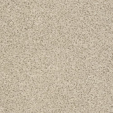 Brushed Ivory