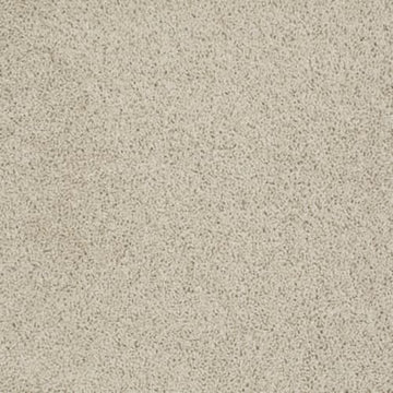 Chic Cream