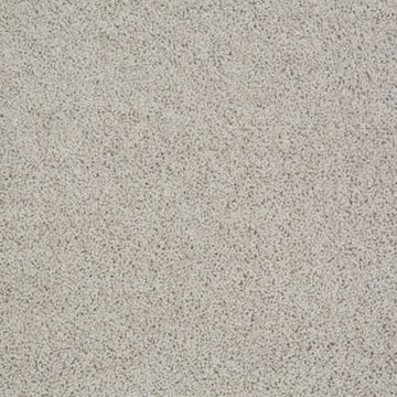 Cement