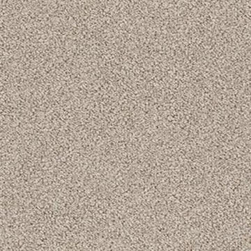 Stucco Tan