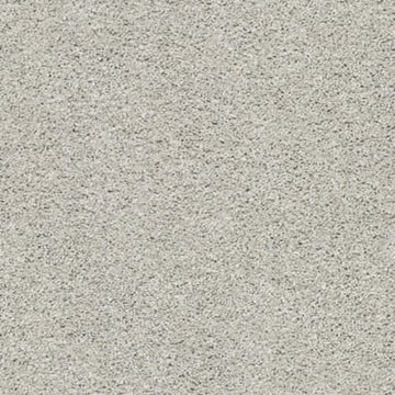 Silver Screen