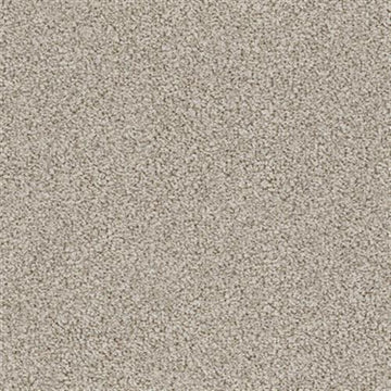 Stucco Tan