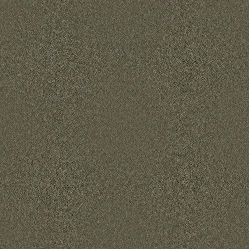 Velvet Touch I in Rerooted Nature Carpet