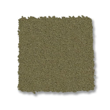 Tate Olive
