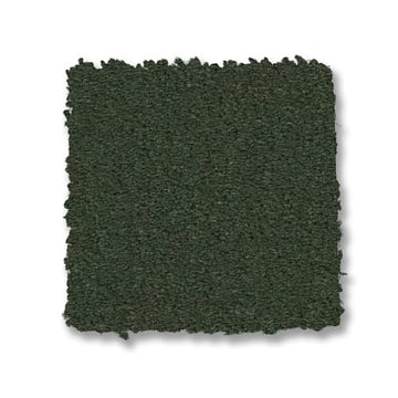 Palm Leaf