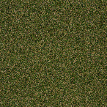 Sea Grass