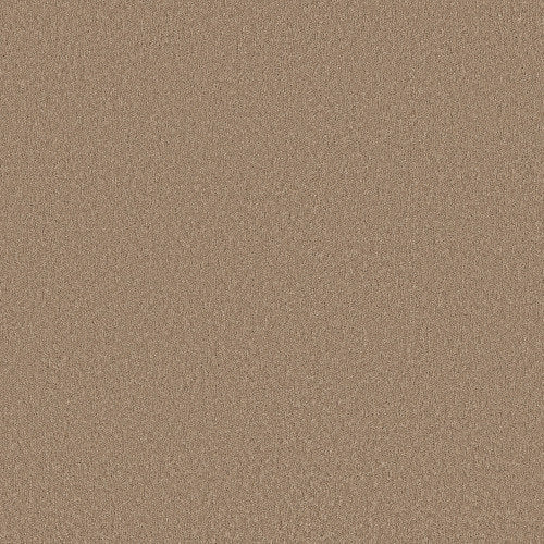 Velvet Touch Ii in Canoe Carpet