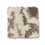Carrera in Natural Bliss Carpet