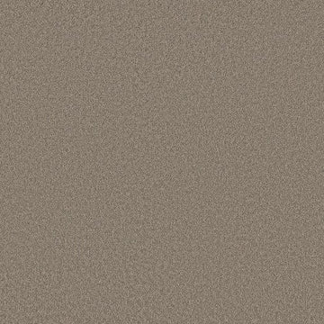 Plaza Taupe