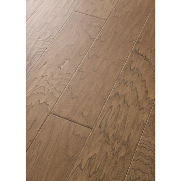 Cassia Bark
