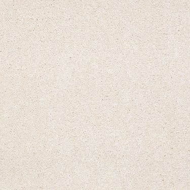 Born Better (S) in Carpet Flooring