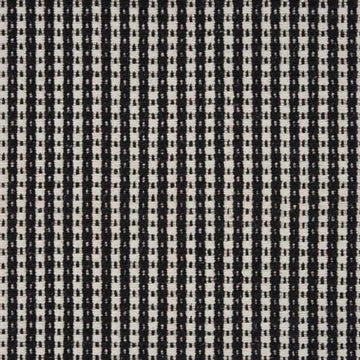 Dalmatian