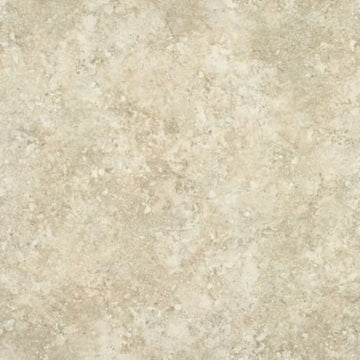 Seashell - Platinum