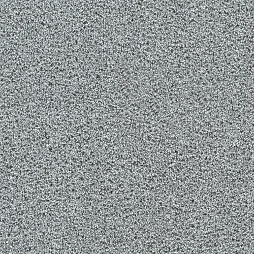 Captivating II | Engineered Floors - Dream Weaver