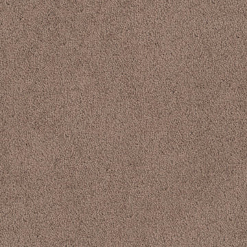 Chenille
