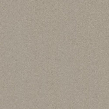 Taupe Treasure