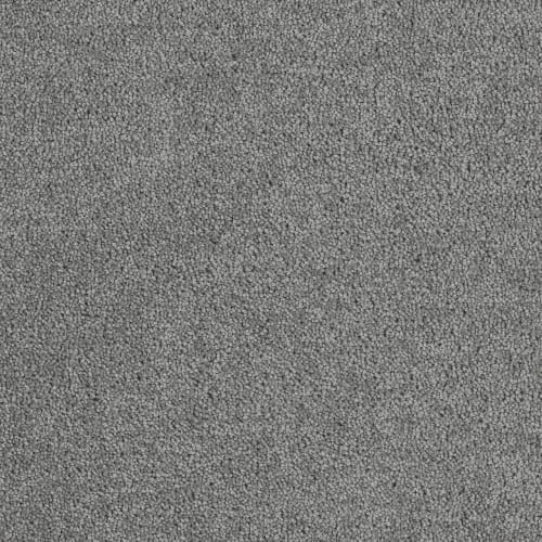 Bel Air in Armor Carpet