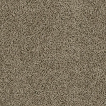Honey Beige