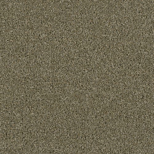 Accolade in Cinnamon Tea Carpet