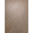 European Ash