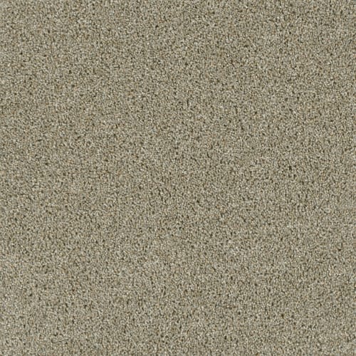 Open Field | Engineered Floors - Ef Multifamily
