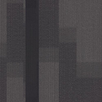 3137