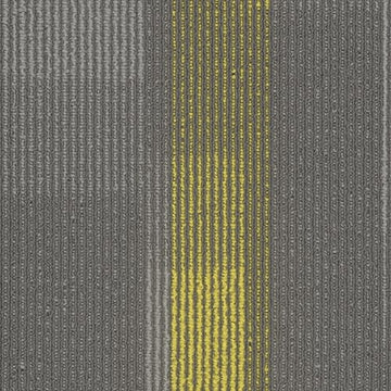 3144