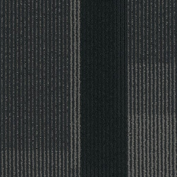 3137